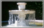 fountain of youth image