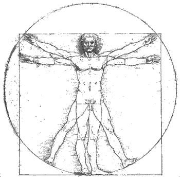 vitruvian man image